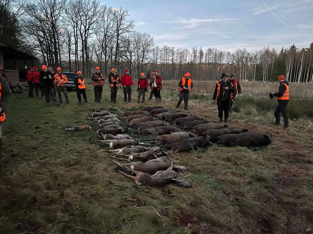 driven hunt in Poland - ultimatehunting.eu